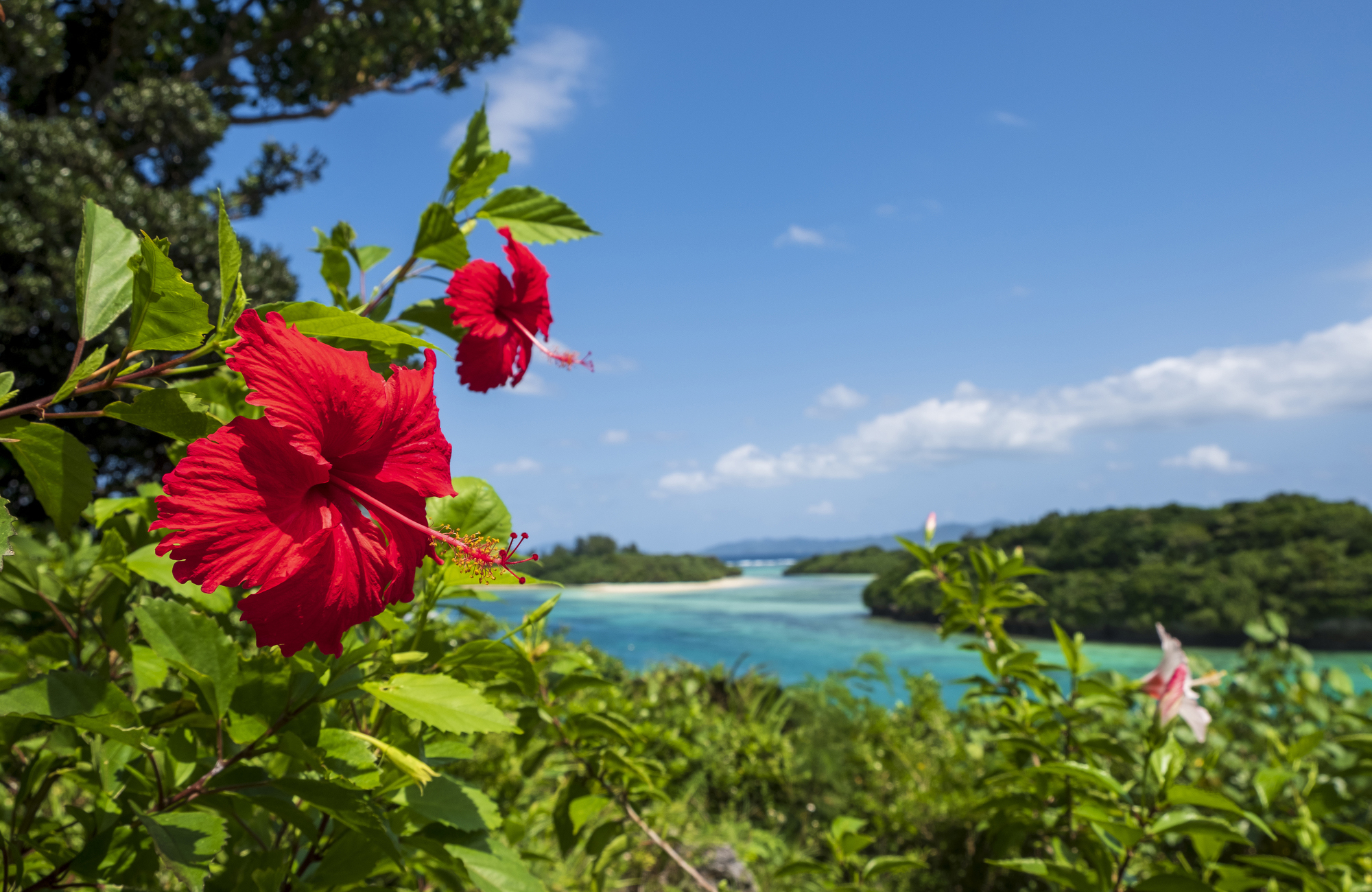 okinawa