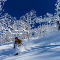 Ski Bliss Awaits: Hotel＆ Ski Package: Stay 3 Nights at Sapporo, Ski Bus, and Lift Ticket Included! image